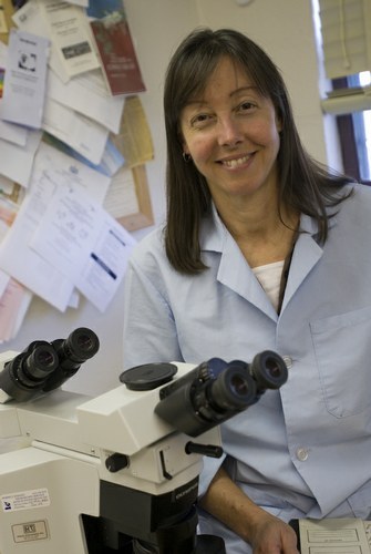 Patricia A Dunn, DVM, MAM, DACPV